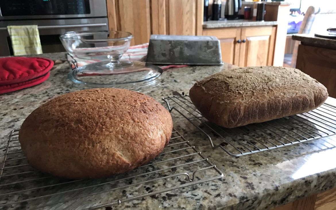 gluten free sourdough bread